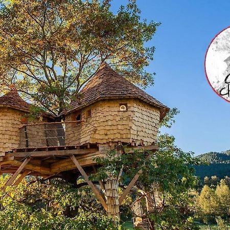 Parthenope - Les Cabanes Du Chene Rouvre Saint-Die-des-Vosges Dış mekan fotoğraf